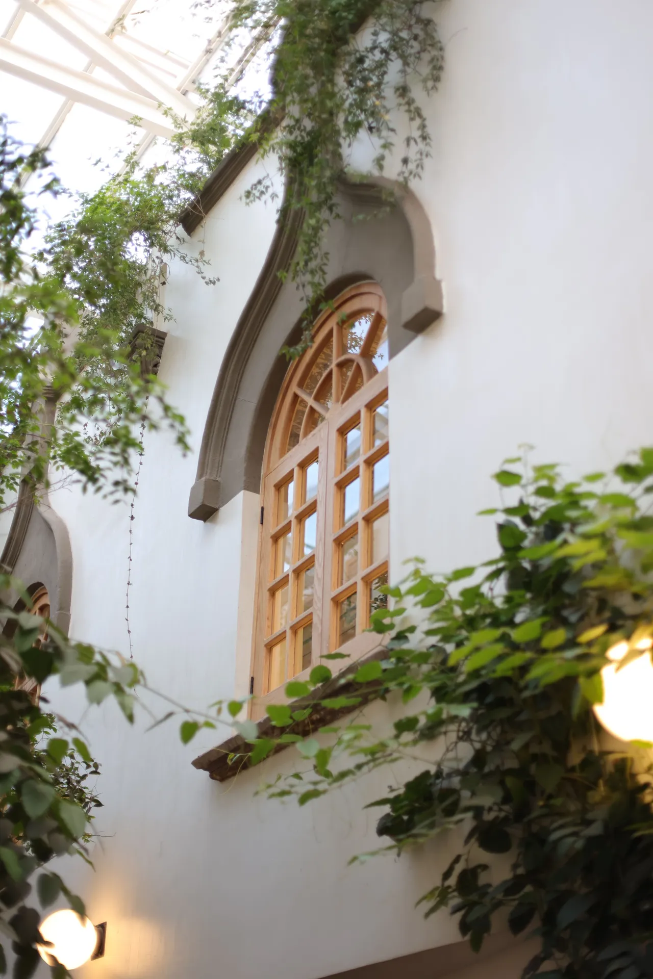 Arched window framed by climbing greenery